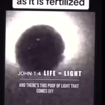 LET THERE BE LIGHT; GENESIS 1:3 AND JOHN 1:4