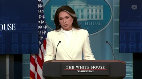 Tulsi Gabbard to reporters: Obama directed "years long coup and treasonous conspiracy"