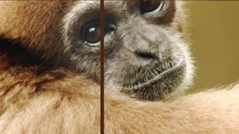 Photography Quick Tips: Rule of Thirds