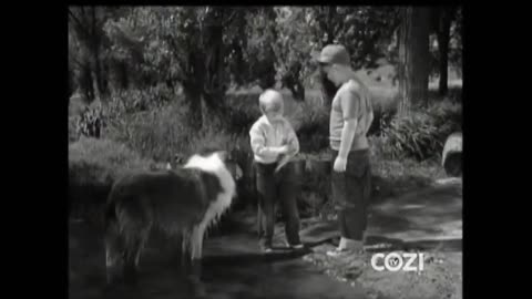 Lassie - Episode 150 - Fish Out of Water'