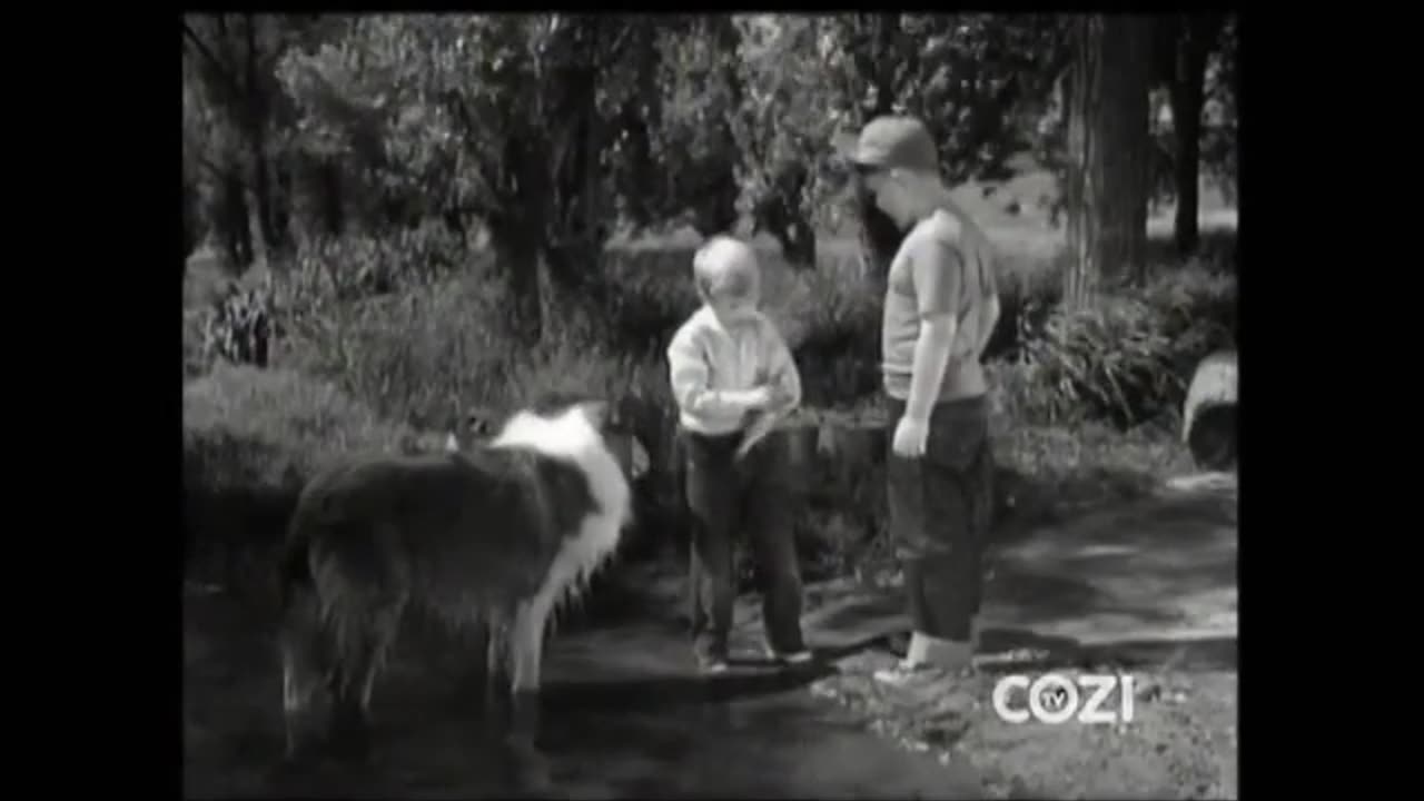 Lassie - Episode 150 - Fish Out of Water'