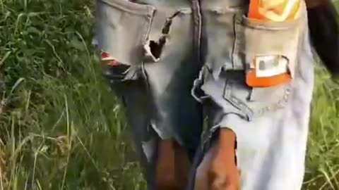 "Cow Wears Pants and Steals the Show! 😂🐄"