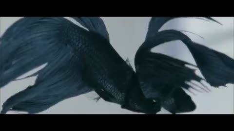Drake and Rihanna Take off you.