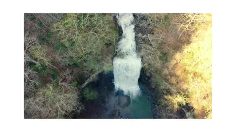 Soothing Stream Sounds | Relaxing Water Flow Nature Video"