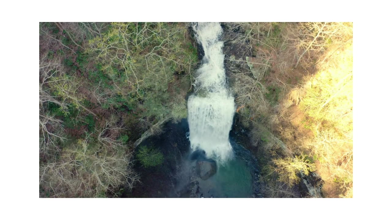 Soothing Stream Sounds | Relaxing Water Flow Nature Video"