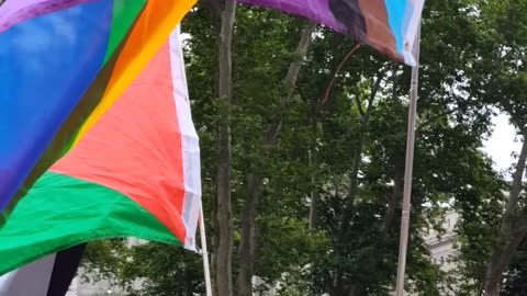 10 years of same sex marriage in the USA.