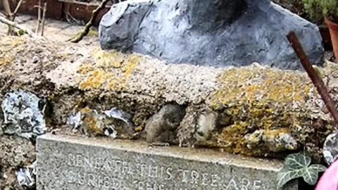 FAMOUS GRAVES - VOL. 631: VIRGINIA WOOLF