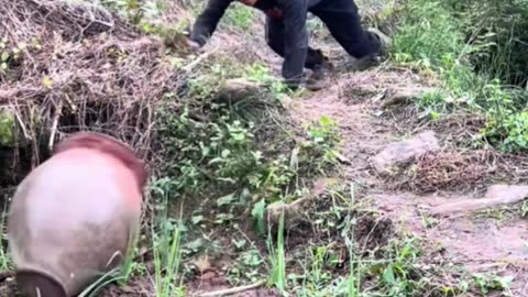 Funny video collection, watch it and laugh, laugh every day and forget your worries