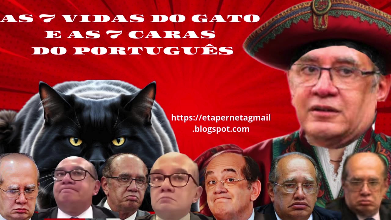 AS 7 VIDAS DO GATO E AS 7 CARAS DO PORTUGUÊS