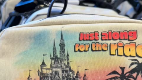 Disney Parks Castle and Monorail Just Along for the Ride Fanny Park #shorts