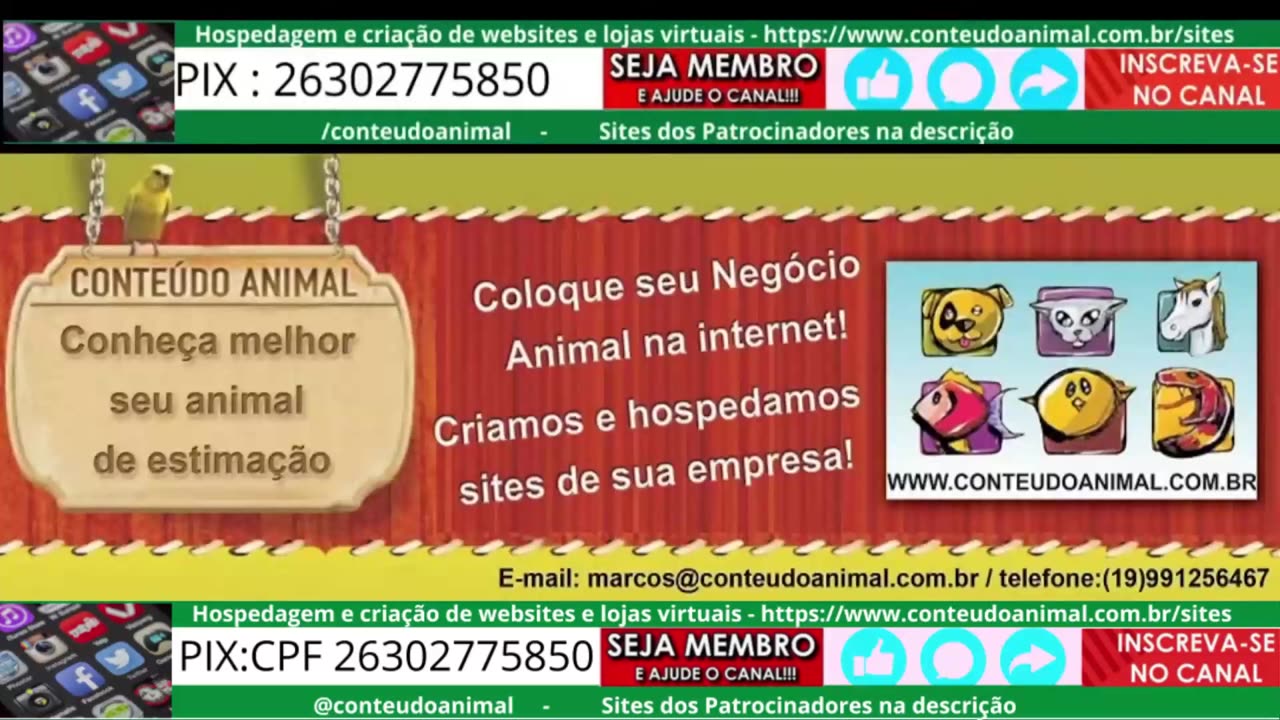 Farming Simulator dia de trabalho