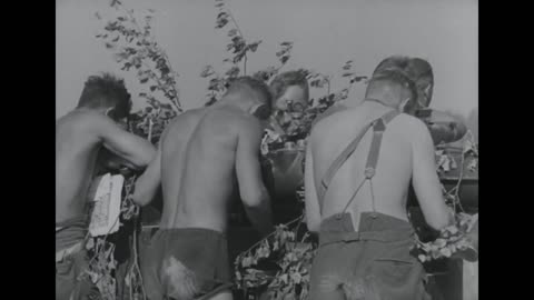 88mm_flak_battery_near_lake_peipus_engages