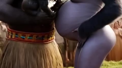 We getting married : Funny animals