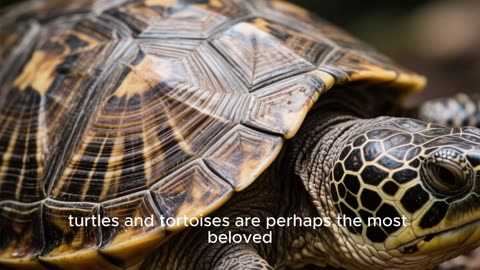 “The Fascinating World of Reptiles”