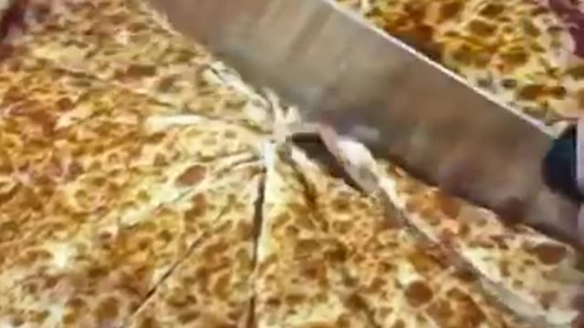 There are TOO MANY SLICES OF PIZZA