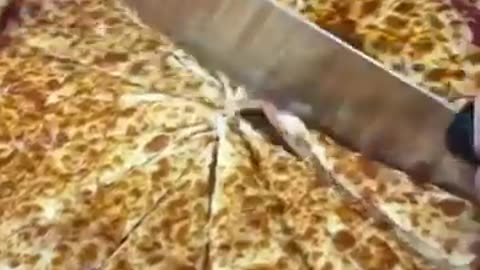 There are TOO MANY SLICES OF PIZZA