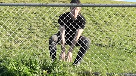 How would animal jump over fence