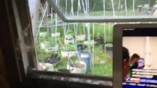 Derek Hunter 07/02/25 century egg has chick abortion Cest Le Bon