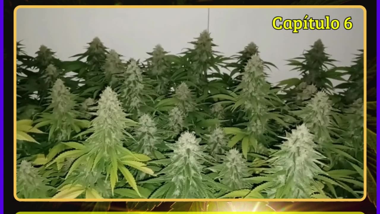 Seguimiento 12.2 (Capitulo 6º)