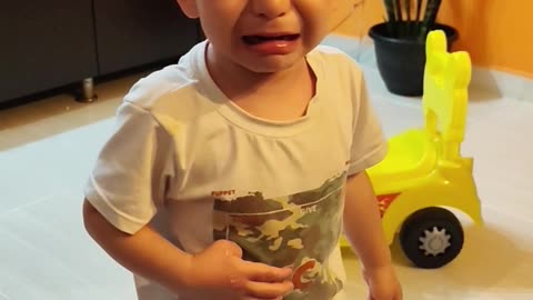 My Son and Cat Want the Same Toy