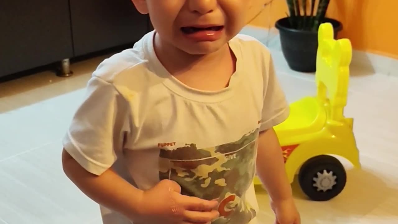 My Son and Cat Want the Same Toy