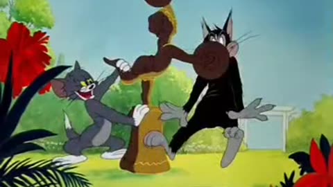 Tom and Jerry