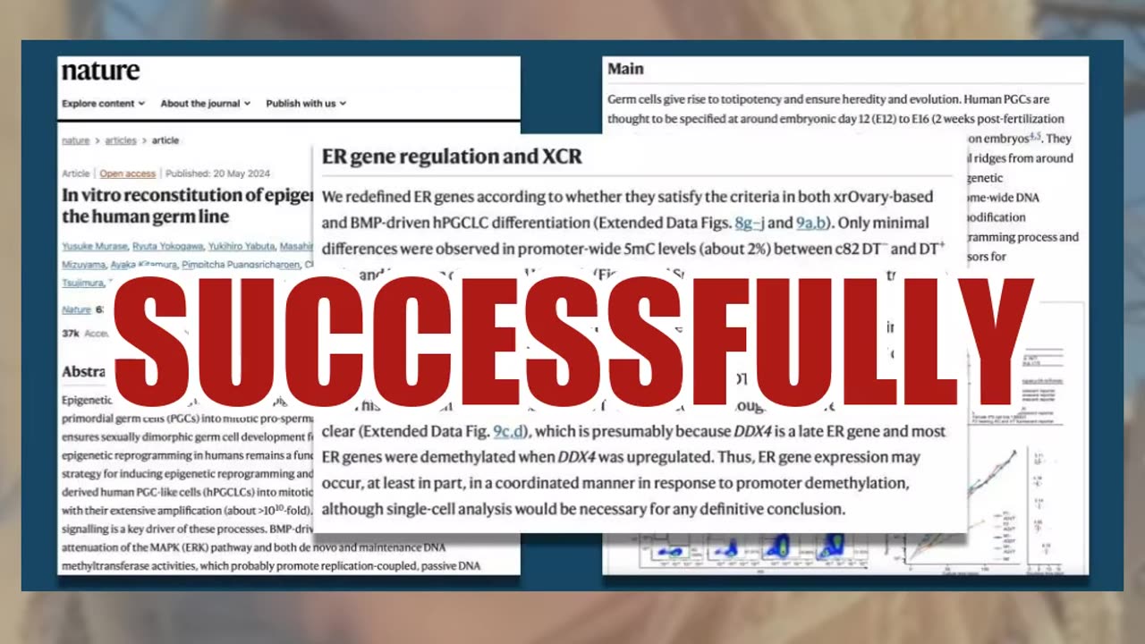 Fact Check: Girls Do NOT Have 'Sperm' In Their Bone Marrow