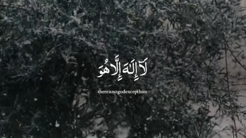 Surah Al-Muzzammil 73:9 🌅🌌 سورة المزمل