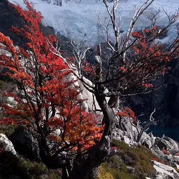 🇨🇱🇦🇷 Border of Argentina and Chile.