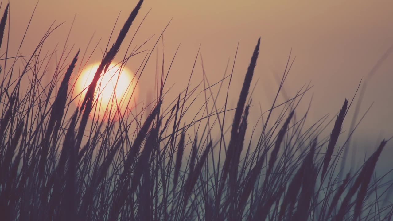 Relaxing Soft Music Piano
