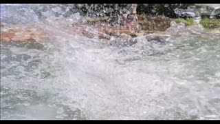 Trent Loos in the Morning - 11/19/2025