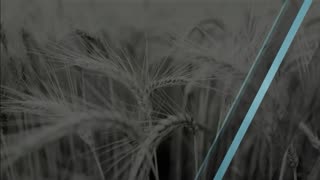 Trent Loos in the Morning - 11/19/2025