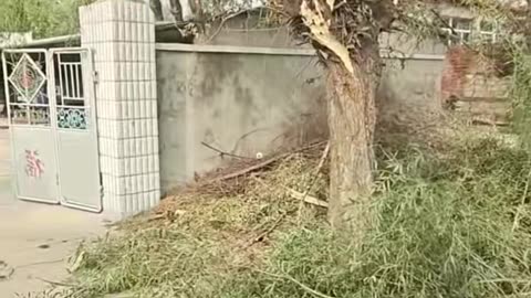 🤯👍 This Simple Trick Changes Everything! | LifeHacksDaily