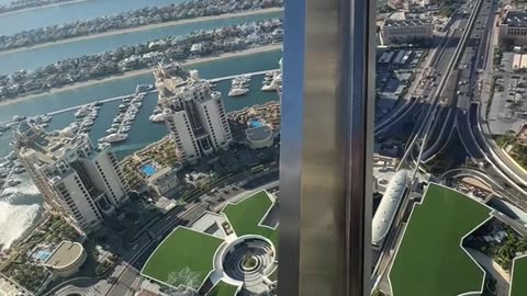 beauty from the top of the building
