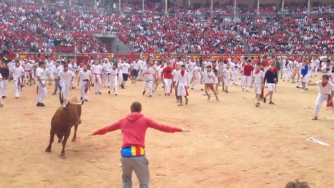 Running of the Bulls Decoded: 18 Life-Saving Facts & Expert Secrets You Need! 🐂🏃💨