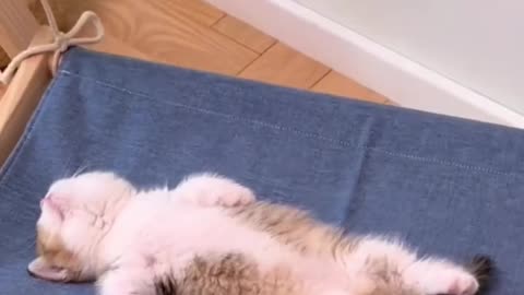 Tired little one