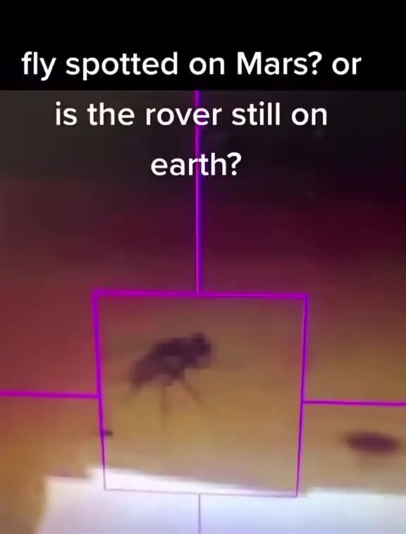 Mars fly