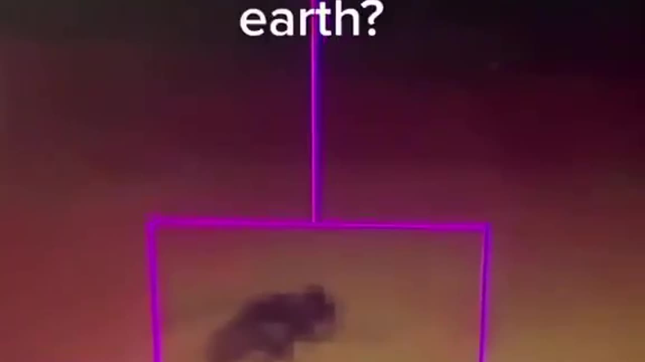 Mars fly