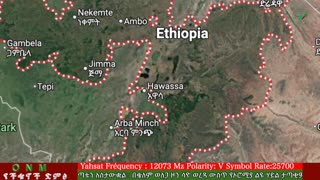 ሐምሌ 28-2025 ONM-ABO እለታዊ የኦሮሞ ነፃነት ሰራዊትና የኦሮሚያ ውሎ!
