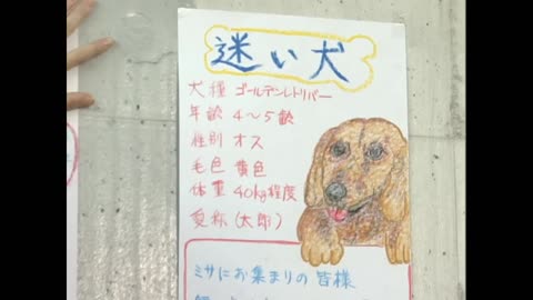 Usagi & Mamoru sailor moon live action act 18 Mineko drawing a poster for the dog to find a home