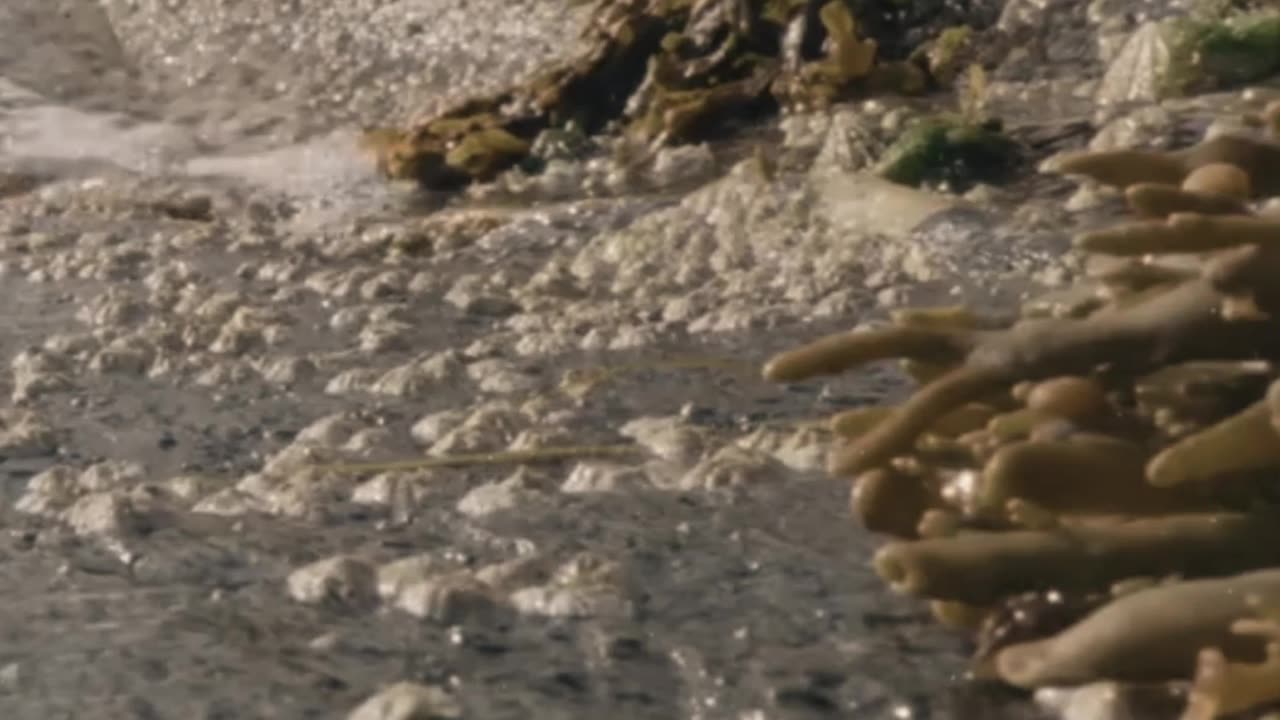 Wild Camping at the Norwegian Sea (ASMR) #1 #shorts