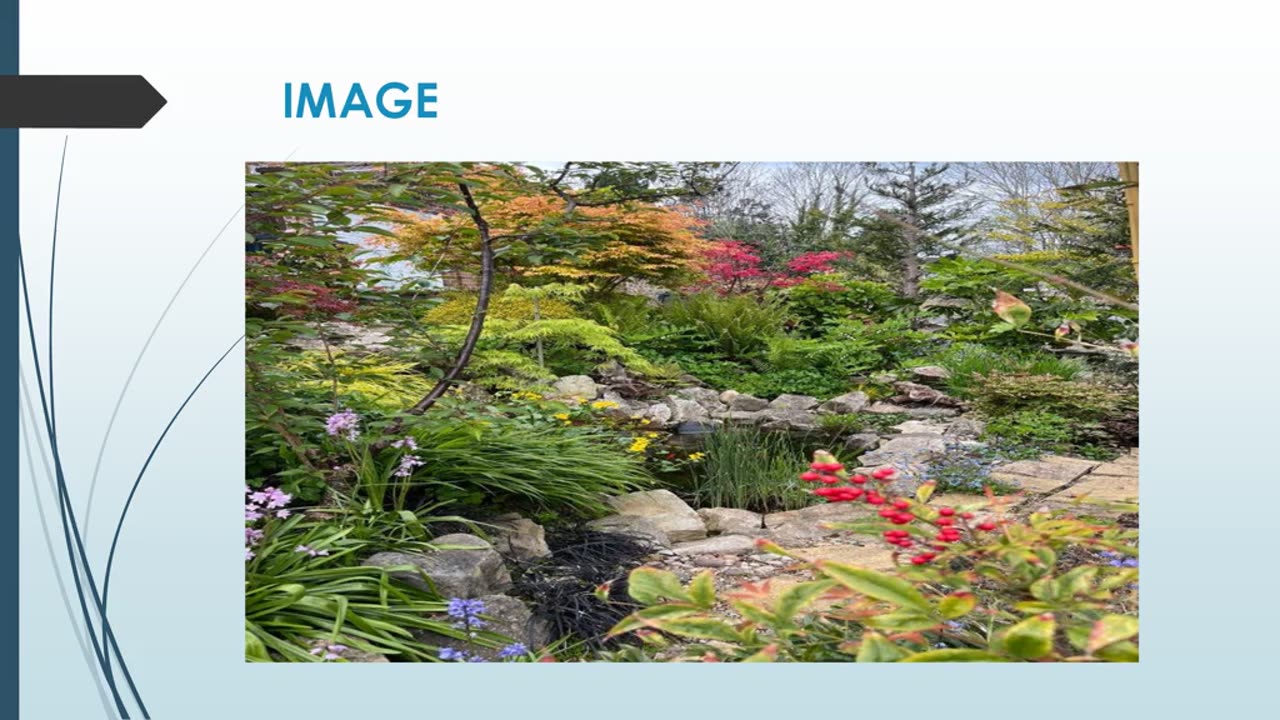 Best Planting in Benfield Valley