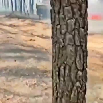 The Ukrainian 122-mm self-propelled gun 2S1 "Gvozdika" destroyed