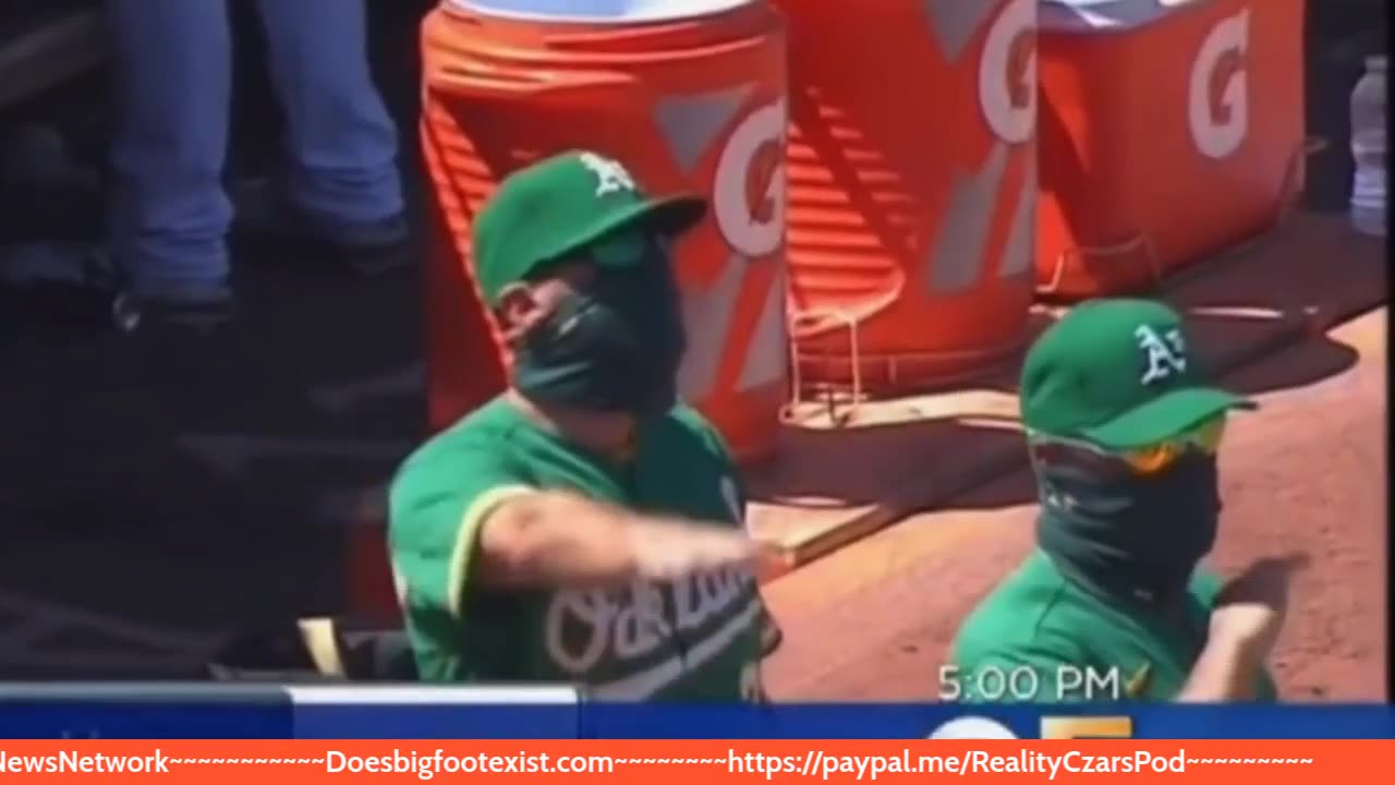 Schizo News Network #63