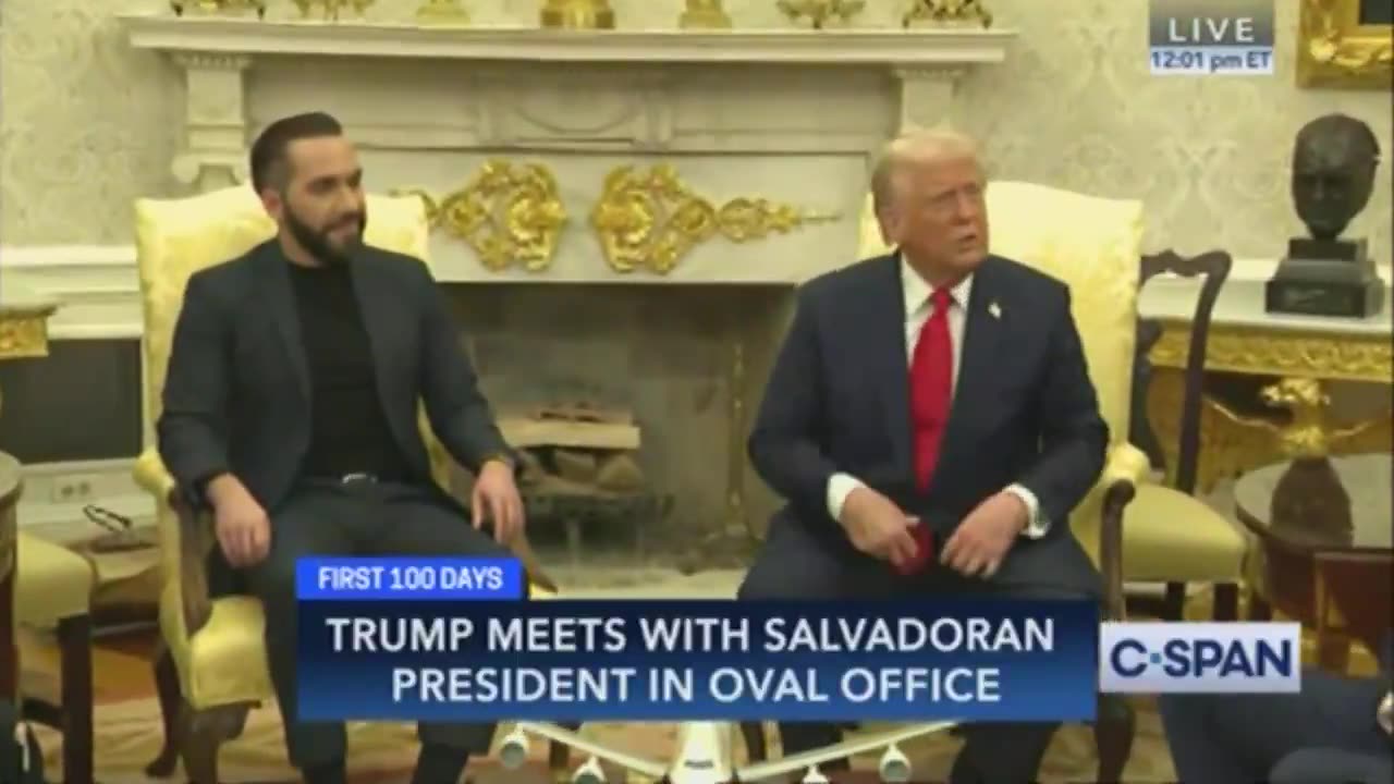 Trump Humiliates CNN Reporter During White House Presser: 'You Have No Credibility'