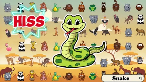 Safari Animal Sounds Song B1216 ｜ Little Bunny Learns ｜ Nursery Rhymes for Babies
