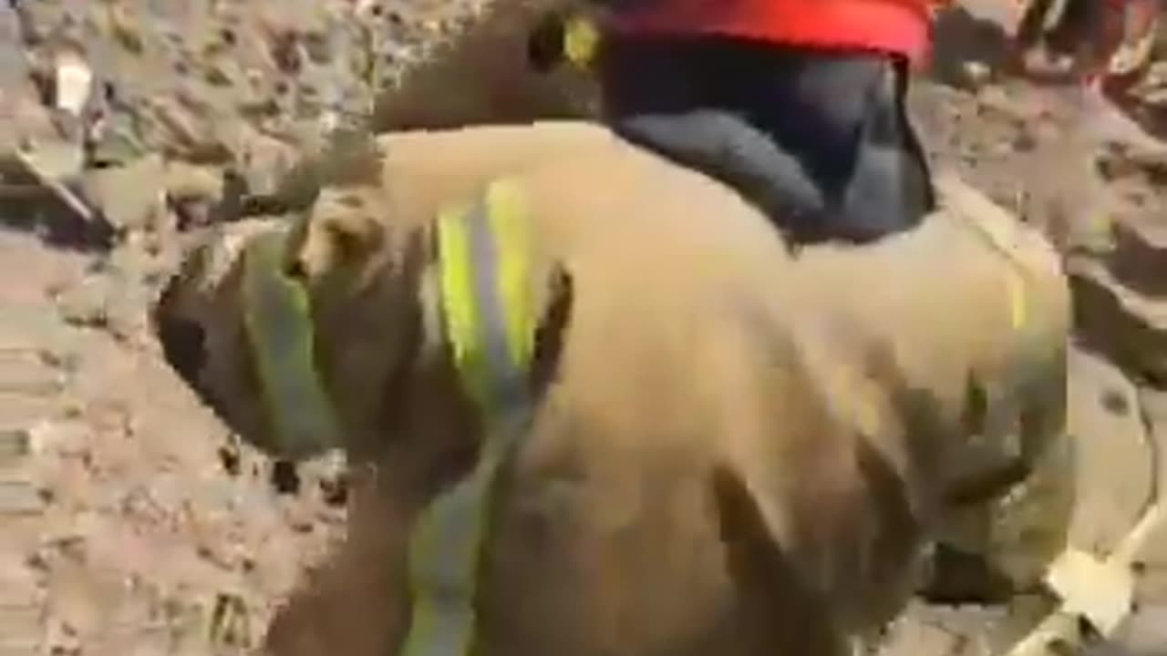 DRONE SLAMS ISRAELI HOMES OVER SHABBAT