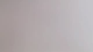 Madam Lo ranting and raging and shaking ass all at once