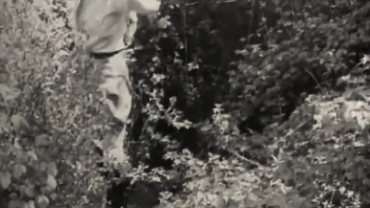 Forbidden Daughters (1927) Short drama