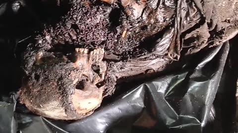 Ukraine war combat footage 7/26/25